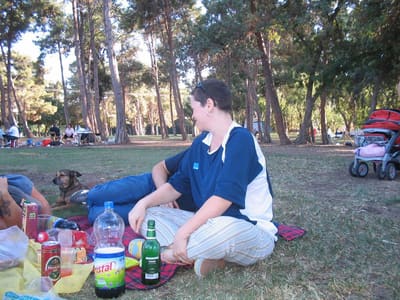 V parke 03