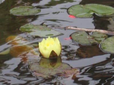 06