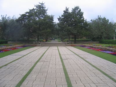 09