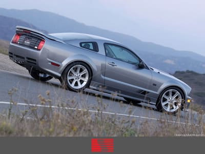 Saleen Mustang 08 1024