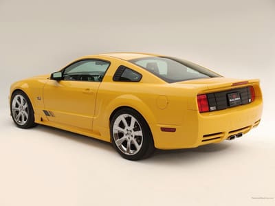 Saleen mtng s281 41 1024