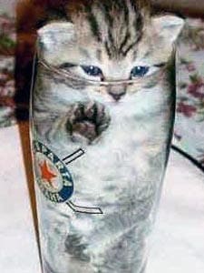 Микро кот