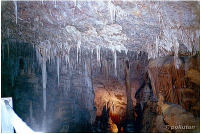 Cave13