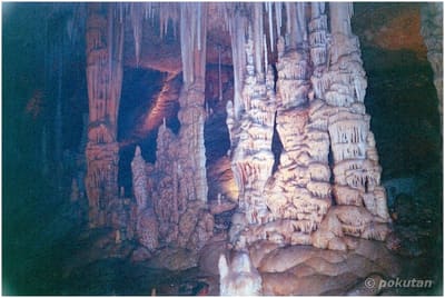 Cave24