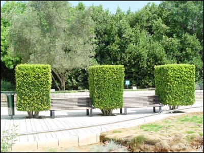 Park03