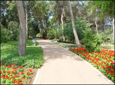 Park08
