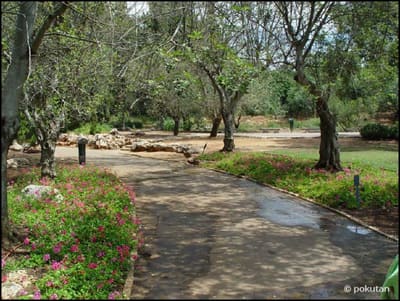 Park13