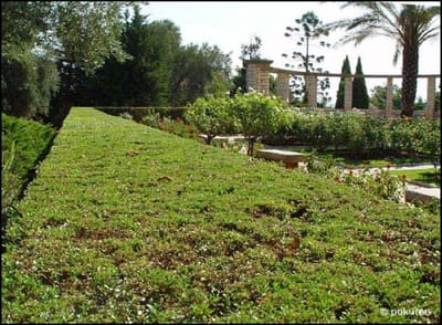 Park20