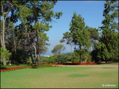 Park21