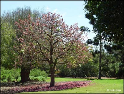 Park23